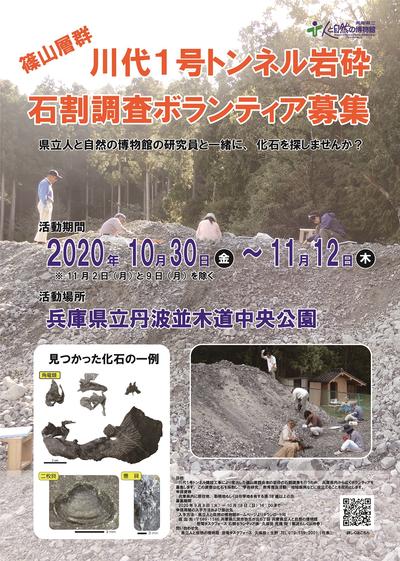 rock-research-volunteer-2009_poster-image.jpg