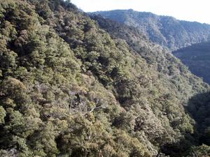 30thanniv_14-pict1.jpg