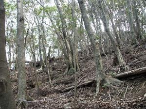 30thanniv_14-pict3.jpg
