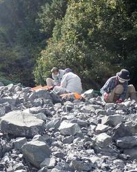 rock-research-volunteer-2109_image-1.jpg