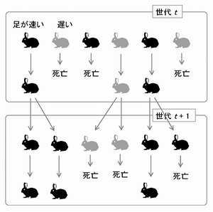 シリーズ 人と自然 地域と向き合う 人博の多様な調査 研究活動の歩み 第26回 第30回 兵庫県立 人と自然の博物館 ひとはく