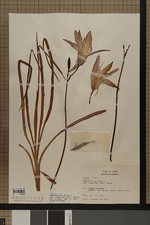specimen2022-3-image.jpg