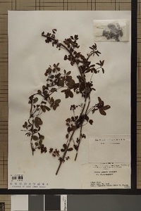 specimen2022-3_3.jpg