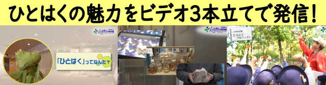 トップバナー