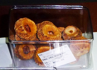 s-tounanajiadonguri8.jpg