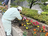 25061103.jpg