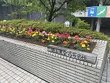 25061104.jpg