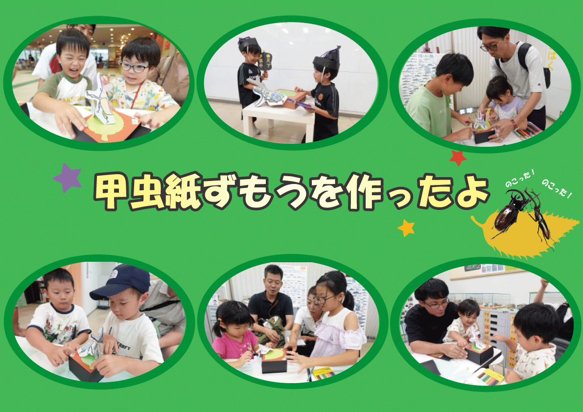 甲虫ずもう写真.png