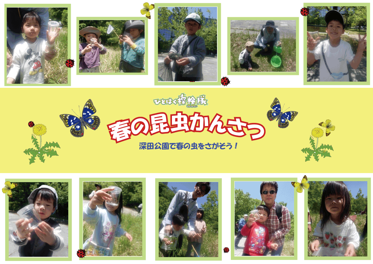 春の昆虫観察ブログ写真　作成中.gif