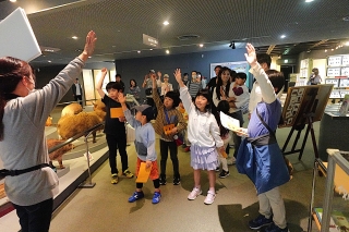 DSC04105.jpg
