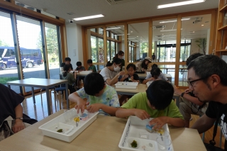 DSC05535.jpg