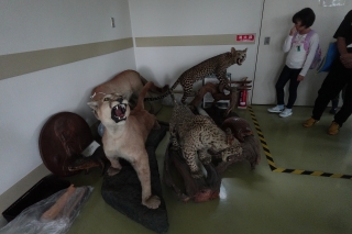 DSC05784.jpg