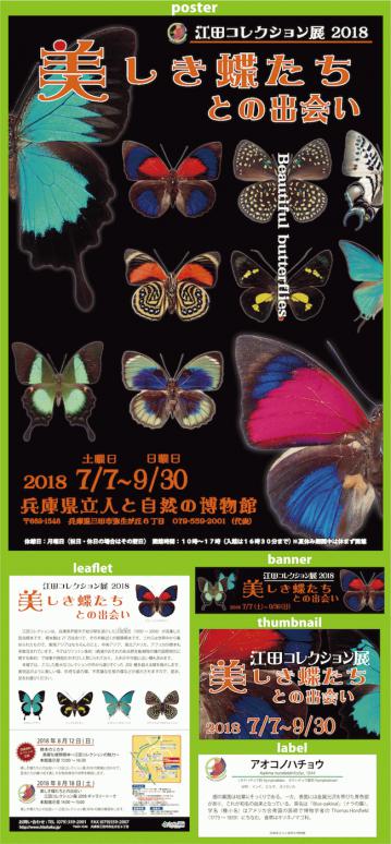 butterfly2018_1ss.jpg