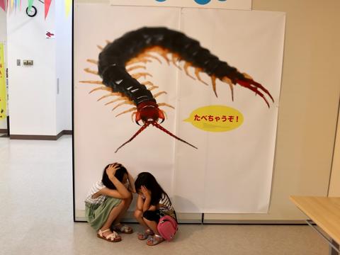 レア。入手困難☆ご当地キティ☆動物図鑑、昆虫、水族館限定ペン、動物シリーズ35点