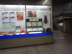 県庁前駅ショーウィンド展示.jpg