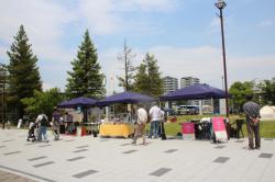 tsubomi maketto  250601 s-IMG_7856.jpg