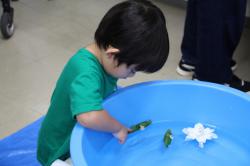 250706 sasabune s-IMG_2802.jpg