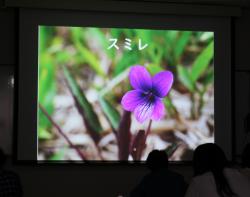 IMG_5244.JPG