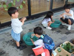 250803 happa to mizu asobi s-IMG_6436copy.jpg