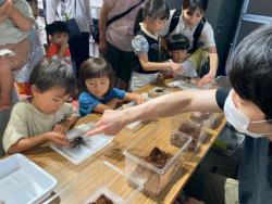 250803 koucyuutenn s-IMG_5773.jpg