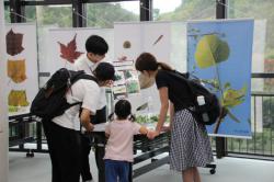 250803 tane no mokei s-IMG_6308.jpg