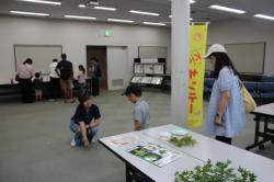 250803 tane no mokei s-IMG_6354.jpg