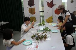 250803 tane no mokei s-IMG_6331.jpg