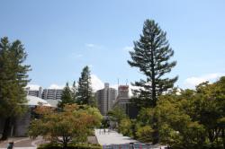 2509-7 s-IMG_1608.jpg