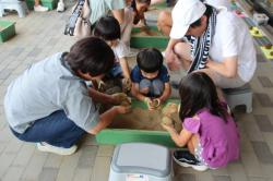 250907 dorodanngo s-IMG_1653.jpg