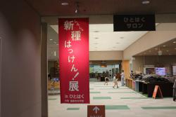 IMG_5266.JPG