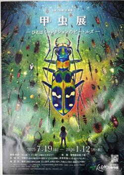 IMG_8428甲虫展ポスター.JPG