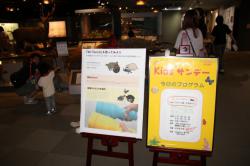 s-251005 Muse Torch IMG_6662.jpg
