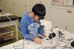 251102 happa guruguru s-IMG_2093.jpg