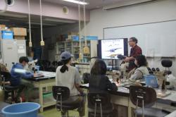 251102 kaseki no kuri-ninngu s-IMG_2071.jpg