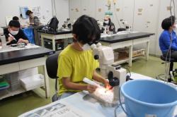 251102 kaseki s-IMG_2253.jpg