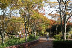 251102 keyaki no namiki michi s-IMG_2014.jpg