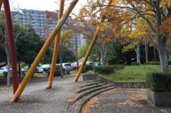 251107 keyaki no kiiroi ochiba s-IMG_2848.jpg