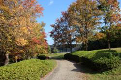 251107 toukaede no chikaku no michi s-IMG_3235.jpg