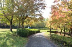 251107 toukaede s-IMG_3217.jpg