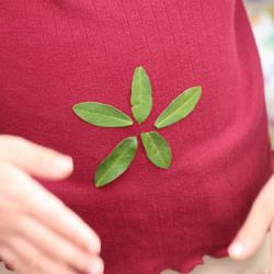 211108 s-hiradotsutsuji no ha wo fuku ni tsukeru IMG_8266copy.jpg