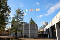 251203 enntorannsuho-ru no hata s-IMG_7458.jpg