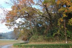 251204 haraigiri s-IMG_7936.jpg