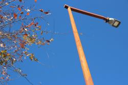 251206  fuji no tsuru ga nobitairu  (4kai iriguchi chikaku) s-IMG_7982.jpg