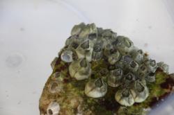 251207 fujitsubo nanndenann s-IMG_8533.jpg