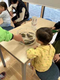 251207 fujitsubo no nannde nan s-image3.jpg