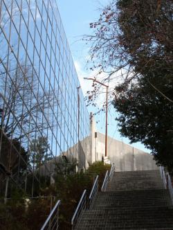 251220 honnkan yokono nagai kadan  s-IMG_0235 copy.jpg