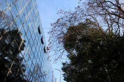 251223 kakinoki s-IMG_0455.jpg