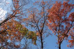 konara no jyukan s-IMG_8182.jpg