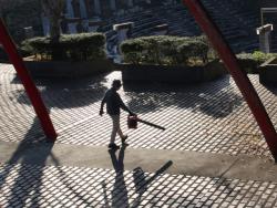 s-251130 ohiba wo burowa de tobasu IMG_6694 copy.jpg