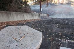 260111 fuji no saya ga takusan ochite iru s-IMG_2395.jpg